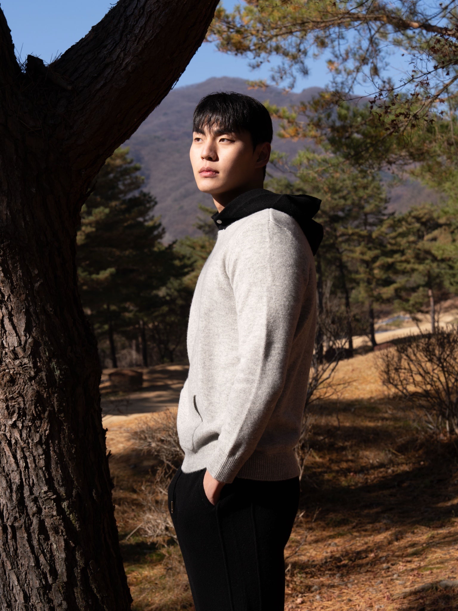 PURE MERINO WOOL HOODIE