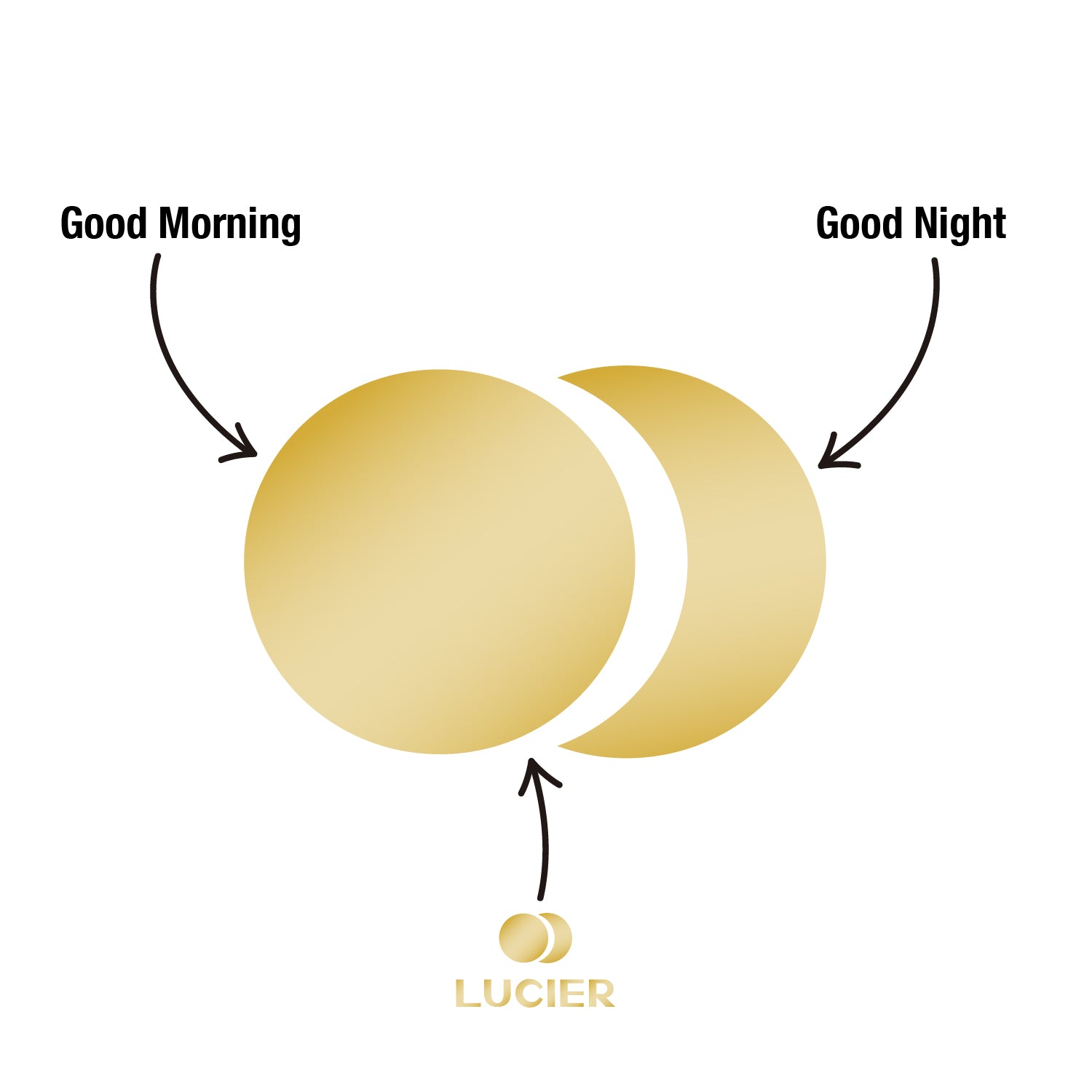 A-7/ 新品未使用 LUCIER JACKBLACK NIGHT LENSES JACK BLACK DAY LENSES – LUCIER